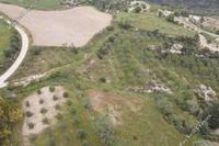 9031 SQM Land in Tsada (Paphos) for sale 