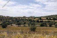 2342 SQM Plot in Alampra (Nicosia) for sale 