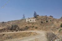 3679 SQM Land in Eptagoneia (Limassol) for sale 
