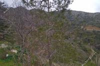 10034 SQM Land · Pedoulas (Nicosia) for sale 