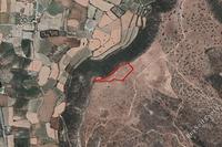 12041 SQM Land in Pissouri (Limassol) for sale 