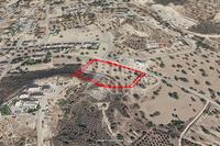 8640 SQM Plot in Palodeia (Limassol) for sale 