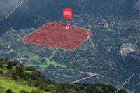 19064 SQM Land in Akoursos (Paphos) for sale 