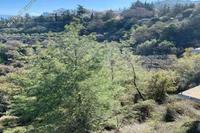 939 SQM Land in Panagia (Paphos) for sale 