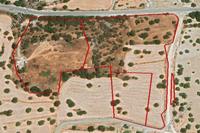 29000 SQM Land in Palodeia (Limassol) for sale 
