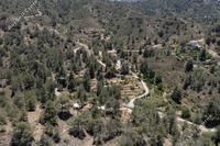 3455 SQM Land in Kakopetria (Nicosia) for sale 