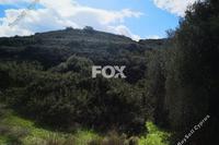3289 SQM Land in Pachna (Limassol) for sale 