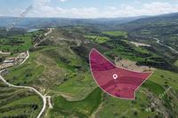 33446 SQM Land in Skoulli (Paphos) for sale 