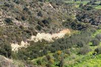 10935 SQM Land in Alaminos (Larnaca) for sale 