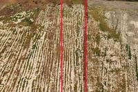 11545 SQM Plot in Livadia Larnacas (Larnaca) for sale 