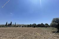 34114 SQM Land in Psevdas (Larnaca) for sale 