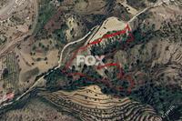 16389 SQM Land in Kapileio (Limassol) for sale 