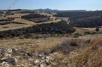 10935 SQM Land in Alaminos (Larnaca) for sale 