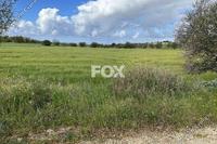5040 SQM Land in Anarita (Paphos) for sale 