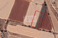 2797 SQM Plot · Liopetri (Famagusta) for sale 