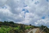 7693 SQM Land in Koilani (Limassol) for sale 