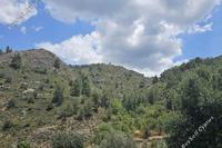 1580 SQM Land in Platanistasa (Nicosia) for sale 