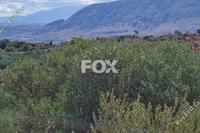 4215 SQM Land in Akrotiri (Limassol) for sale 