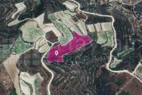 10257 SQM Land in Koilani (Limassol) for sale 