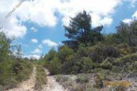32108 SQM Land · Lysos (Paphos) for sale 