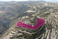 16054 SQM Land · Koili (Paphos) for sale 