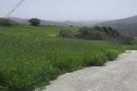 4014 SQM Land · Kato Akourdalia (Paphos) for sale 