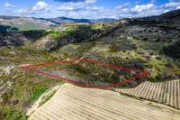 7358 SQM Land · Dora (Limassol) for sale 