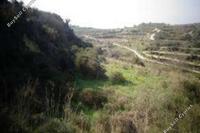 10824 SQM Land · Tsada (Paphos) for sale 