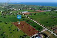 7693 SQM Land in Mazotos (Larnaca) for sale 