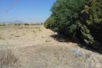 4002 SQM Land · Softades (Larnaca) for sale 