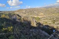 10824 SQM Land · Tsada (Paphos) for sale 