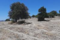 5855 SQM Land · Agios Dimitrianos (Paphos) for sale 