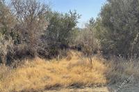 2342 SQM Land · Kaimakli (Nicosia) for sale 