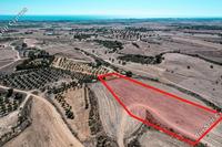 8306 SQM Land in Tersefanou (Larnaca) for sale 