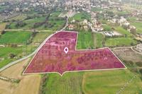 13379 SQM Land in Anogyra (Limassol) for sale 