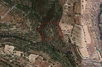 6689 SQM Land · Dora (Limassol) for sale 