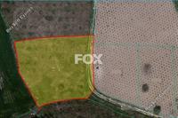 3011 SQM Land in Polemi (Paphos) for sale 