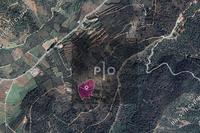 12041 SQM Land in Tsakistra (Nicosia) for sale 