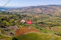 10704 SQM Land in Lasa (Paphos) for sale 
