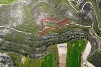 3805 SQM Plot in Pachna (Limassol) for sale 