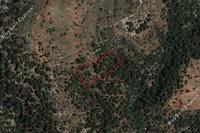 9365 SQM Land · Dora (Limassol) for sale 