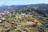 11706 SQM Land in Peristerona Pafou (Paphos) for sale 