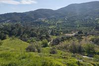 3039 SQM Land in Akrounta (Limassol) for sale 