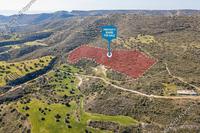 19603 SQM Land in Agios Theodoros Larnacas (Larnaca) for sale 