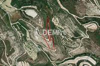 10034 SQM Land in Tsada (Paphos) for sale 