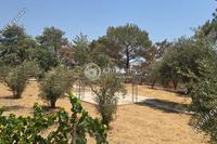 3 Bedroom Detached house · Souni Zanakia (Limassol) for sale 