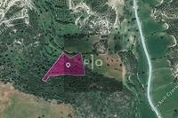 6689 SQM Land in Agios Theodoros Larnacas (Larnaca) for sale 