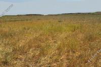 2330 SQM Land · Psimolofou (Nicosia) for sale 