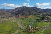 10703 SQM Land in Foinikaria (Limassol) for sale 