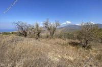 6393 SQM Land · Kinousa (Paphos) for sale 